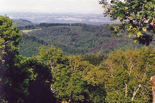 Vue sur la vallée