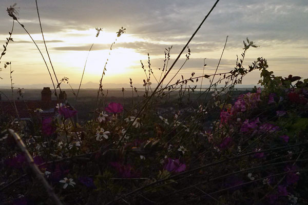 Coucher de soleil sur Dassaud